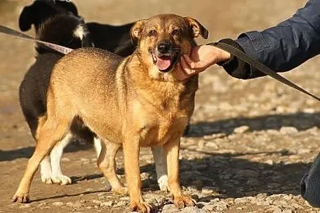 Winnie zasługuje na to co najlepsze... Pokochaj ma