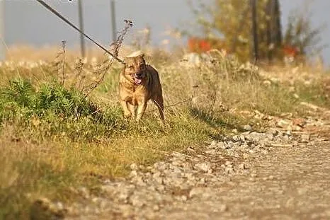 Winnie zasługuje na to co najlepsze... Pokochaj ma