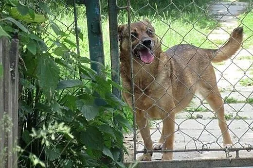 Winnie zasługuje na to co najlepsze... Pokochaj ma