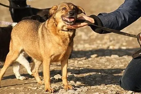 Winnie zasługuje na to co najlepsze... Pokochaj ma