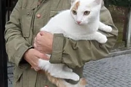 Duszek, młodziutki, lubiący się przytulać kotek, c, Kraków