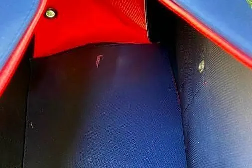 torba do transportu kota lub psa, Małopolskie, Olkusz
