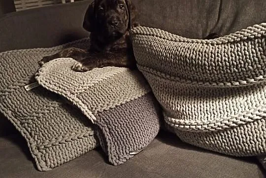 Fila brasileoro