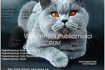 Zapraszamy na Pokaz z okazji Światowego Dzień Kota