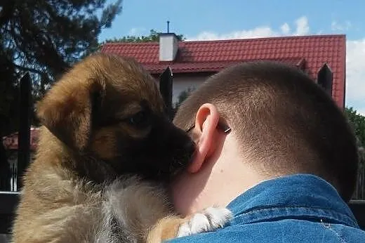 Cudna malutka dziewczynka do adopcji - Buka ,  maz