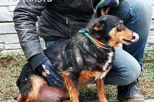 TOMASZEK - co jest warte takie życie?