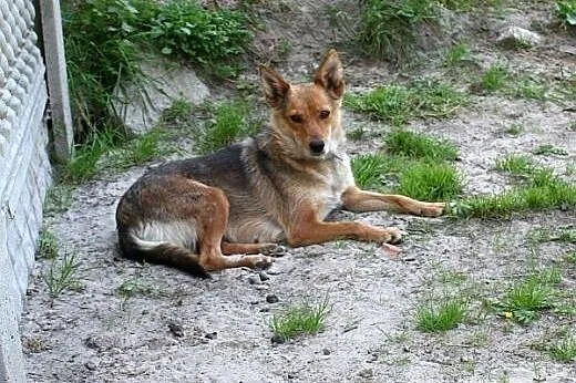 Tusia &#8211;słodka, mała , wesoła, łagodna su