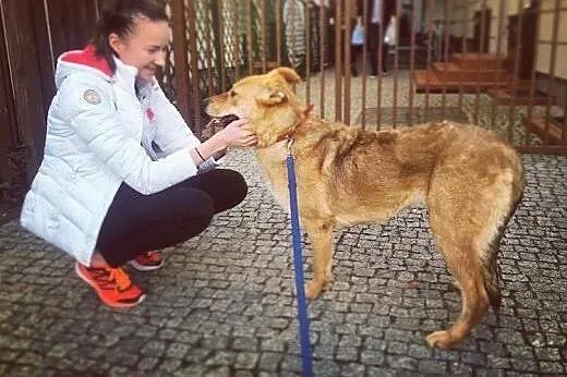 PYSZNA - najmilsza świata psia, wielkie serducho i