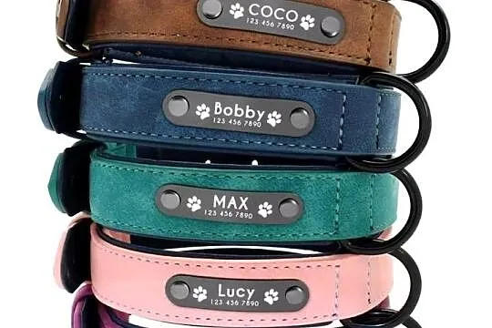 Personalizowana obroża dla psa z imieniem i numerem