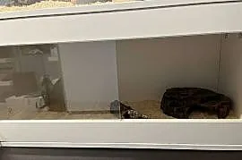 Terrarium 90x40x40