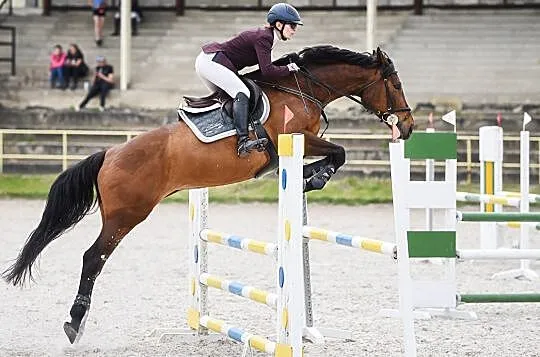 Klacz do sportu, , 