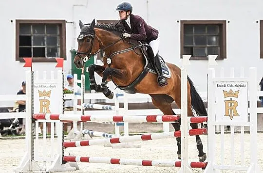 Klacz do sportu, , 