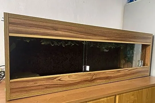 2 żółwie greckie lądowe z rodowodami + terrarium 120x40x40, Małopolskie, Libiąż
