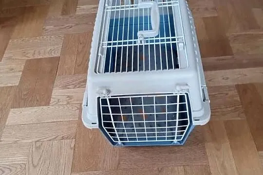 Sprzedam transporter dla zwierzęcia domowego