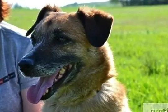 Daj mi wspaniały domek na resztę mojego życia, Małopolskie, Kraków