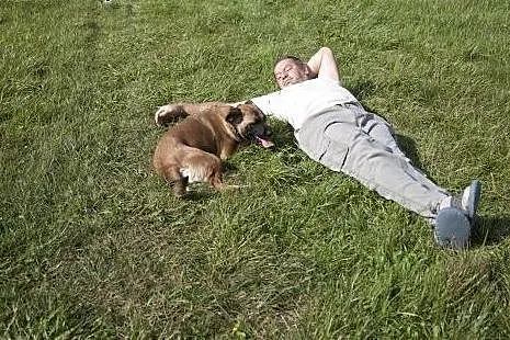 Piękna Tigra do adopcji :),  wielkopolskie Poznań