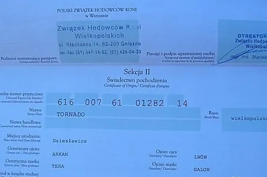 Sprzedam klacz z ogierkiem
