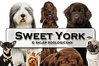 SWEET YORK - e-sklep zoologiczny - ZAPRASZAMY