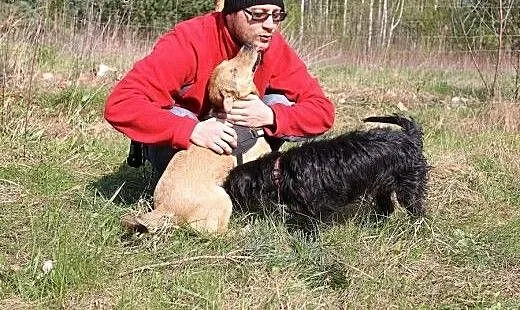 BAŚCIK - nisko zawieszony Toba będzie ucieszony,