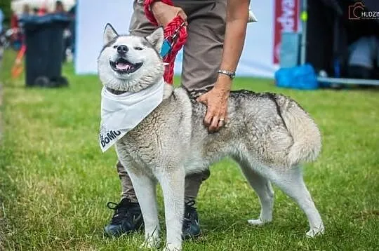 VANA dom potrzebny na wczoraj