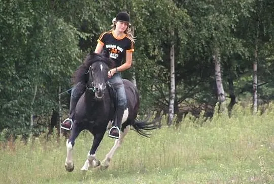 STANÓWKA HUCUŁ OGIER OLAF