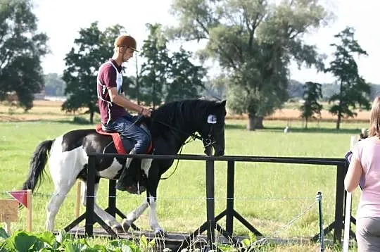 STANÓWKA HUCUŁ OGIER OLAF