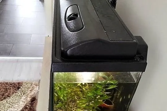 Akwarium 112l z życiem, Wielkopolskie, Konin