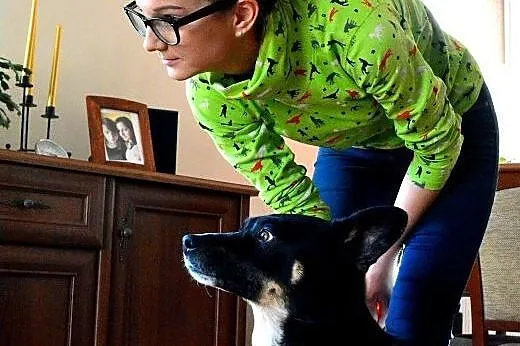 Spokojny Haker szuka domu.,  mazowieckie Warszawa