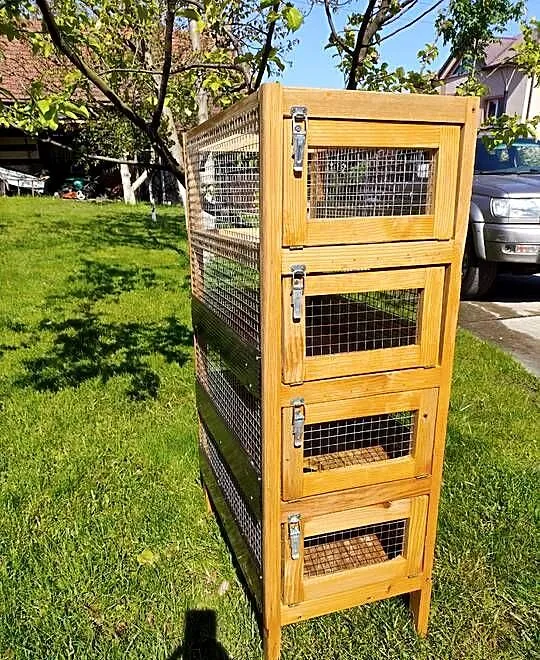 Woliera klatka dla szynszyla, Podkarpackie, Strzyżów