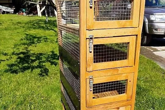 Woliera klatka dla szynszyla, Podkarpackie, Strzyżów