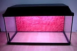 Akwarium z pokrywą 60L