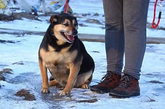 Wesoła, niekonfliktowa Caroline, pokochaj ją!