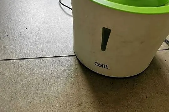 Poidełko dla kota Catit., Lubuskie, Gubin