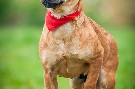 OTOZ Animals - Trinka - malutka kruszynka wyrusza 