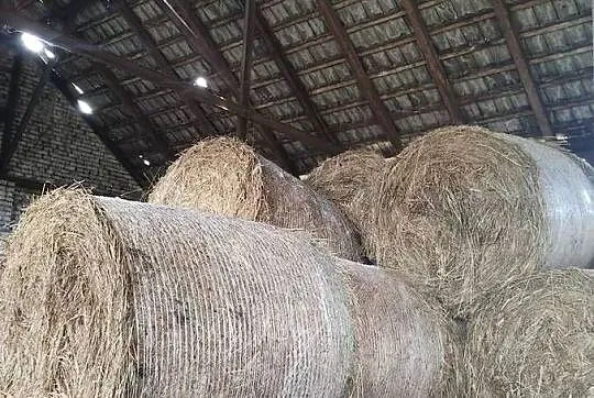 Sprzedam siano z tegorocznych pokosów, Świętokrzyskie, Busko-Zdrój