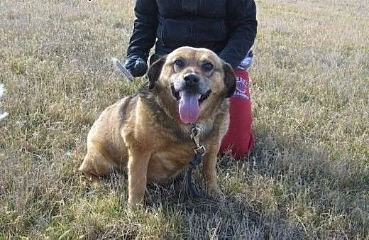 Babcia Kora - całe życie spędziła w schroniku! Tyl