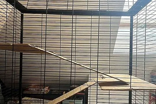 Klatka dla gryzonii duża szczur szczurów szynszyli szczura woliera ptaków
