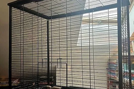 Klatka dla gryzonii duża szczur szczurów szynszyli szczura woliera ptaków, Śląskie, Jaworzno