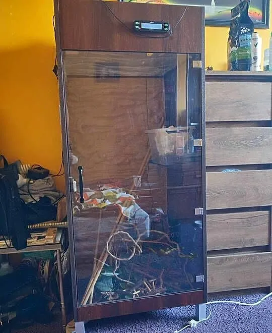 Terrarium dla kameleona z wyposażeniem, Dolnośląskie, Lubin