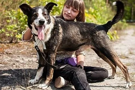 Cudny Mundek wciąż bez domu...,  łódzkie Łódź