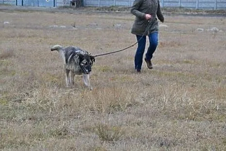 Klara nie ma już czasu czekać na dom... a to tak c