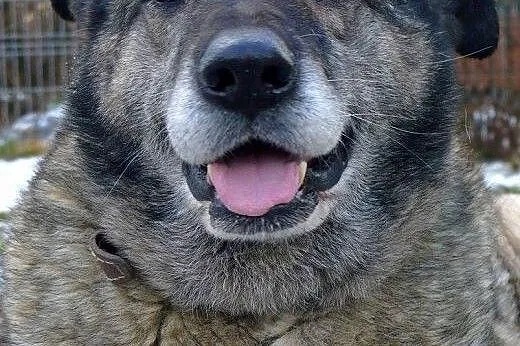 Klara nie ma już czasu czekać na dom... a to tak c