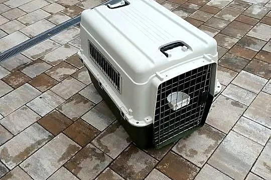 Transporter dla psa Feria 5, Śląskie, Tuliszów