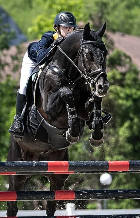 Ogier Alebastr, ,