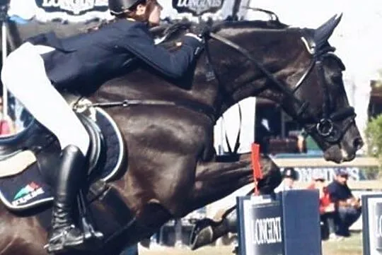 Ogier Alebastr, , 