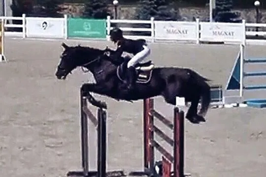Ogier Alebastr, , 