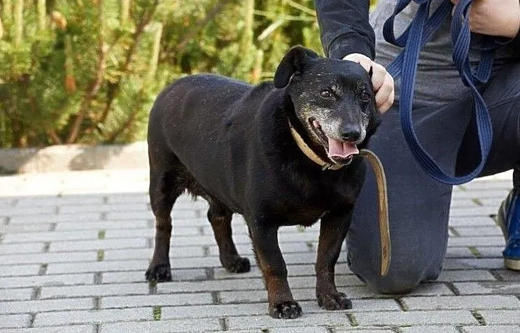 Charli -