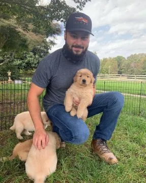 Wyjątkowe szczenięta Golden Retriever dostępne dla kochających zwierzęta rodzin., , Sosnowiec-Pieńki