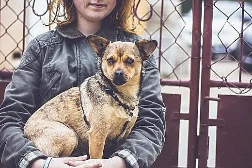 Pestka - maleńka kruszynka, która źle znosi schron