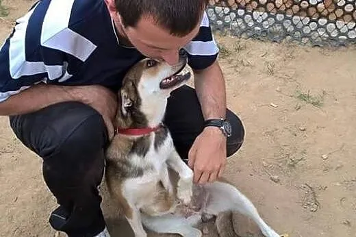 Nuka młoda sunia szuka miłosci!!!,  łódzkie Łódź